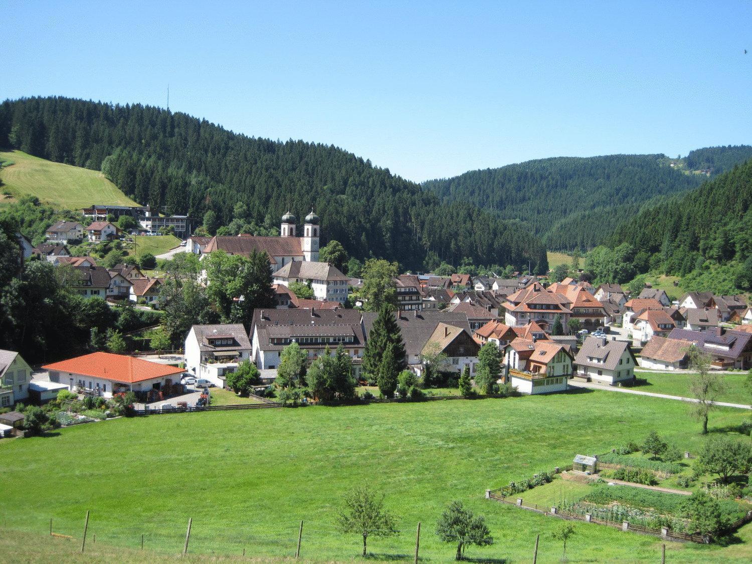 Hotel Restaurant Albans Sonne Bad Rippoldsau-Schapbach Esterno foto