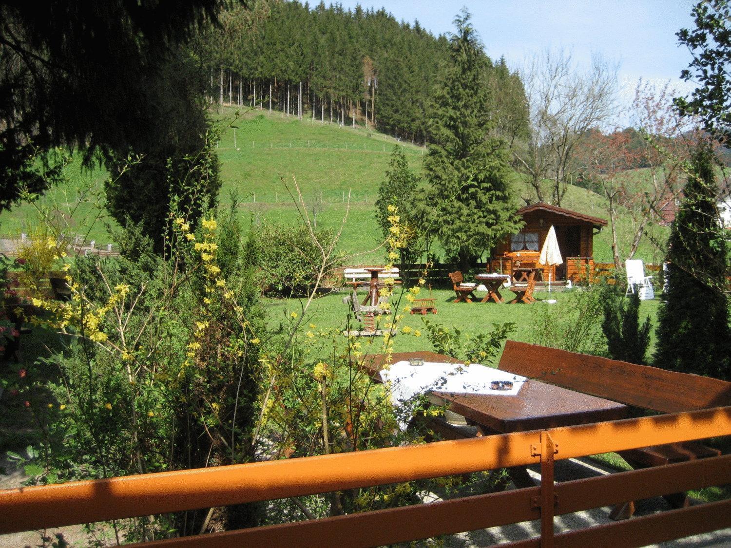 Hotel Restaurant Albans Sonne Bad Rippoldsau-Schapbach Esterno foto